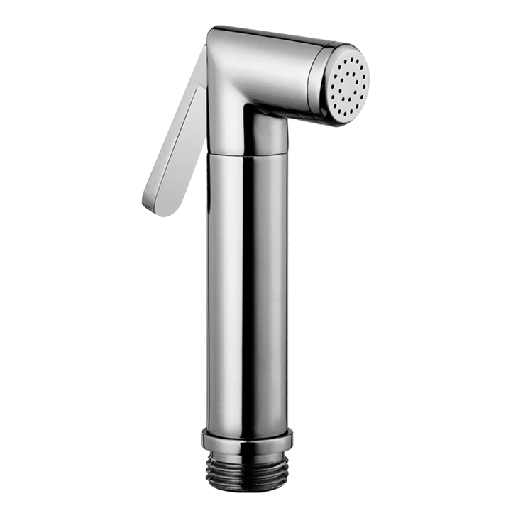 Handheld Toilet Bidet